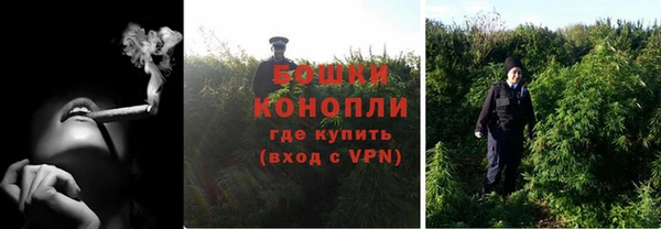 PSILOCYBIN Вязники