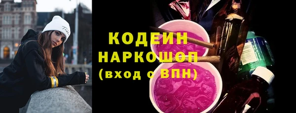 молекула духа Вяземский