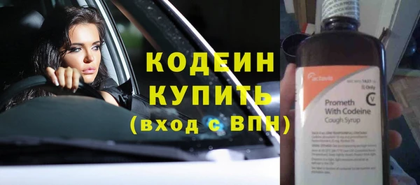 молекула духа Вяземский