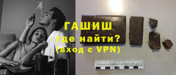 молекула духа Вяземский