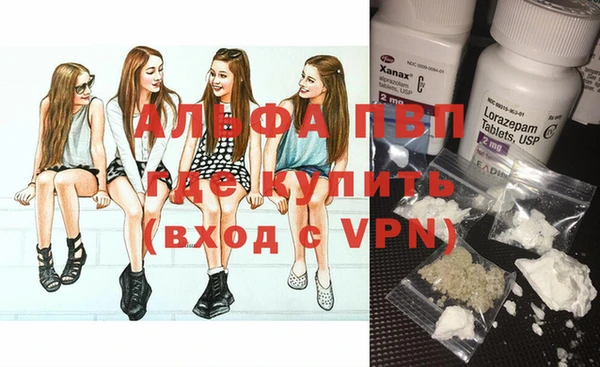 молекула духа Вяземский