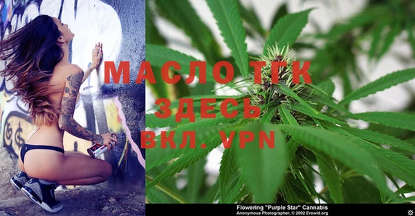 молекула духа Вяземский
