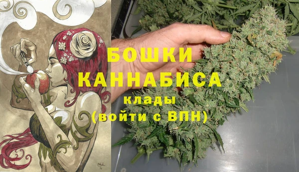 молекула духа Вяземский