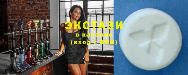 молекула духа Вяземский